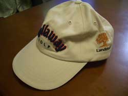 �L�����E�F�C�S���t�@CAP